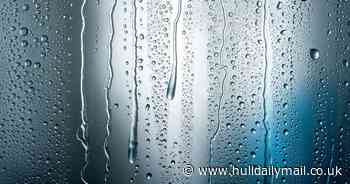 Rule expert says everyone should follow to avoid condensation - even those with double glazing