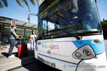 Nouveau réseau Sillages, lignes Zou!, BHNS: le maire de Grasse fait le point sur le bus