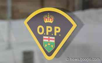 Female victim identified in Hwy 11 fatal near New Liskeard - BayToday.ca