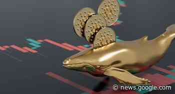 Cardano Wale starten 2023 mit Akkumulationstrend - bullisch für ... - Coin-Update