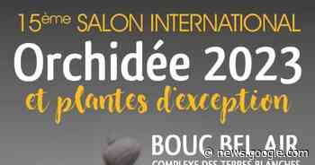 15ème Salon International de l'Orchidée de Bouc Bel Air Bouc-Bel ... - Journal des spectacles