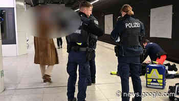 S-Bahnhof Hamburg-Harburg: Bundespolizist will Tatverdächtigen ... - Hamburg 1
