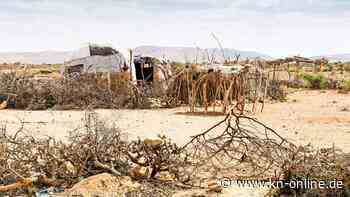 Dürre in Somaliland: Wie die Menschen unter der Trockenheit leiden