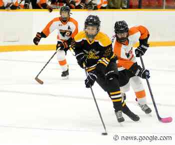 Iroquois Falls Stingers sweep pair from Regional Express | The ... - The Daily Press