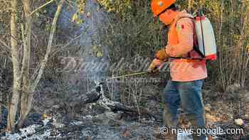 En Yucatán, se registra fin de semana de incendios forestales en ... - El Diario de Yucatán
