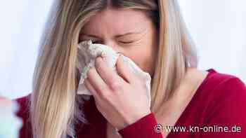 Heuschnupfen-Allergie - was hilft und wie entstehen Pollenallergien?