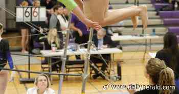 Girls gymnastics: Barrington brings home MSL crown; Rolling Meadows' Widawski takes individual title
