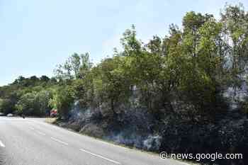 Revel : un départ d'incendie touche 5 000 m2 de végétation près du ... - Le Pays d'Auge