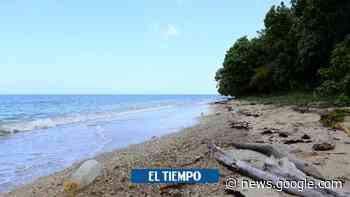 San Antero rescatará 5 kilómetros de su playa - Otras Ciudades ... - El Tiempo