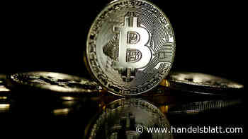 Kryptowährung: Bitcoin über 23.000 Dollar – Technische Analyse warnt vor Torschlusspanik