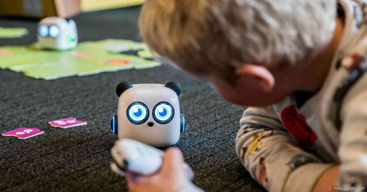 Bibliotheek organiseert workshops programmeren van robots voor ... - Het Laatste Nieuws