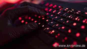 Baerbocks Website down: Russischer Hackerangriff als Rache für Leopard-Lieferung?