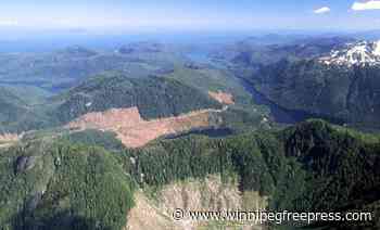 US reinstates road, logging restrictions on Alaska forest