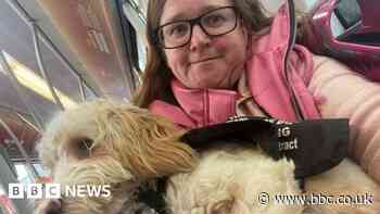 Disabled woman and service dog asked to leave Hanley pub