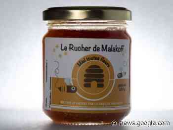 Le miel de la mairie de Malakoff récompensé d'une médaille d'argent - Le Journal du Pays Yonnais