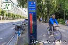 Verkehr Hamburg: Anteil der Fahrradfahrer in Hamburg auf Rekordniveau