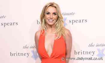 Britney Spears begs her followers to 'respect my privacy' after obsessive fans called the POLICE