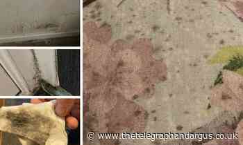 Bradford woman's anger after mould ruins house decor