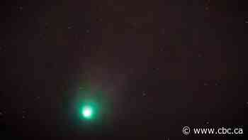 Here's how Calgarians can spot the rare green comet