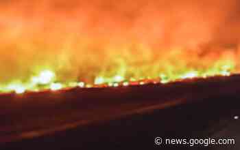 Arrasa mega incendio en Allende, Coahuila; se extiende al menos 4 ... - Vanguardia MX