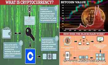 Cryptocurrency for dummies: Everything you need to know about digital assets