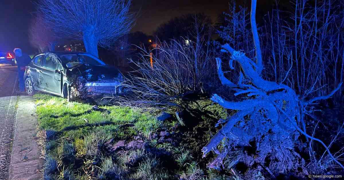 Automobilist knalt tegen boom langs kanaal in Bossuit - Het Laatste Nieuws
