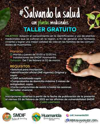 Invita SMDIF Huamantla al taller “Salvando la salud con plantas ... - Linea de Contraste