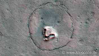 NASA fotografiert "Bär" auf dem Mars: Forschende erklären das Bild