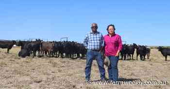 Beef farming a perfect fit