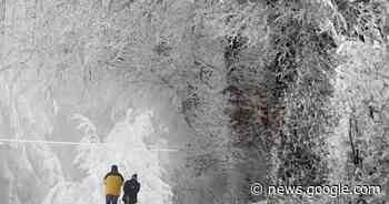 Schnee: Lifte in Hellenthal am Weißen Stein sind offen - General-Anzeiger Bonn