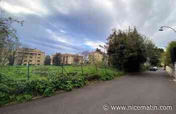 "Un lieu de formation et d’échanges": à Nice, le terrain Verani va devenir un jardin urbain