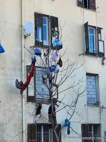 Squat à l'est de Nice: la municipalité répond aux "vitupérations" d'Eric Ciotti