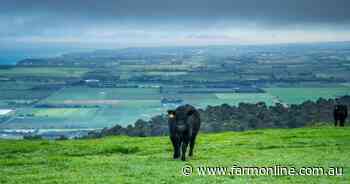 Spectacular views from this grazing farm just an hour from the city