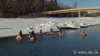 Why some people are taking a wintry dip from the banks of the Bow River