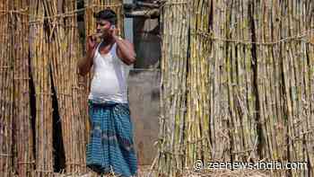 Sugar Production to Fall 5% to 340 Lakh Tonnes in 2022-23; More Diversion of Cane Juice to Ethanol Making