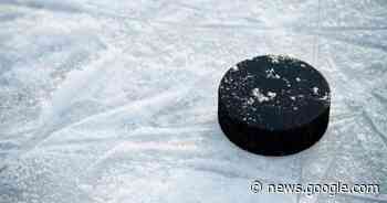 Tignish Aces edge Wellington Flyers in penalty-filled WPSHL contest - Saltwire