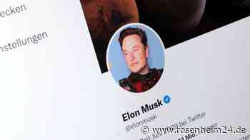 Elon Musk informiert 127 Follower auf Twitter über Test auf Social-Media-Plattform