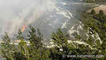L'incendie dans le massif des Alpilles a ravagé plus de 100 hectares de végétation