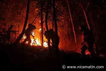 23 morts dans des incendies de forêts au Chili, selon un nouveau bilan