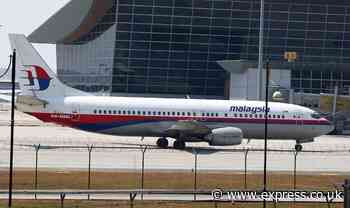 New MH370 theory claims 'three part riddle' could uncover plane's 'precise hidden details'