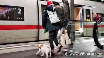 Deutsche Bahn: Online-Tickets für Hunde ab sofort verfügbar