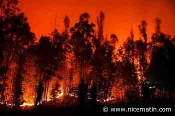 "C'est l'enfer": 24 morts dans des immenses feux de forêt au Chili, plus de 1.100 blessés