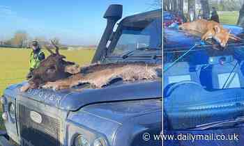 Royal Agricultural University student strapped dead stag to Land Rover