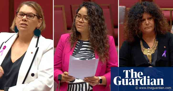 Indigenous Australian senators speak out about alcohol abuse in the Northern Territory – video