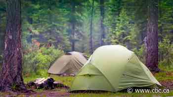 Bear with us  — Parks Canada is updating its booking system, but some campers aren't happy