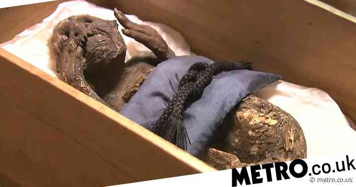 Mystery of Japan’s sacred ‘mummified mermaid’ is finally solved