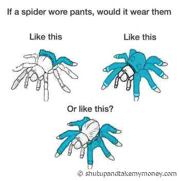 If A Spider Wore Pants Would It Wear Them Like This – Meme - Gadgets ...