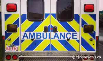 Alberta boy, 5, killed in dog attack was in care of children’s services