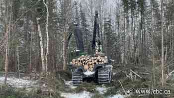 Canada, home to a massive boreal forest, lobbied to limit U.S., EU anti-deforestation bills