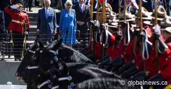 King Charles is getting a ‘Noble’ new horse from Canada. How the royal tradition works